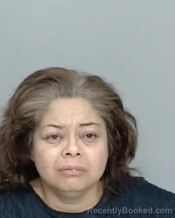 Mugshot of JILLENA TAMEZ