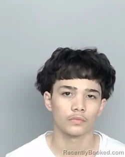 Mugshot of LUIS IZAYAH SARMIENTO
