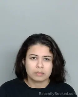 Mugshot of THERESA CASTANON