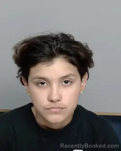 Mugshot of AMBER PEREZ