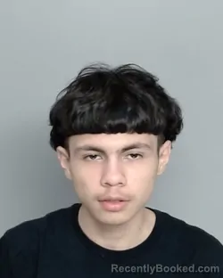 Mugshot of JOSE RAUL NIETO