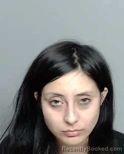 Mugshot of JASMINE ARMIJA