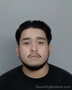 Mugshot of GABRIEL AMAYA