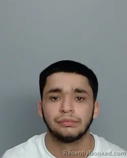 Mugshot of FABIAN VELA