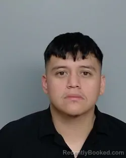 Mugshot of WILMER RAMIREZ