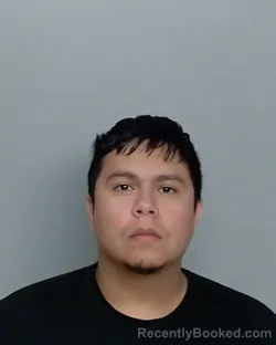 Mugshot of ORLY VILLARREAL