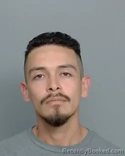 Mugshot of ERICK CASTRO