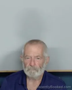 Mugshot of GEORGE E MCGEE