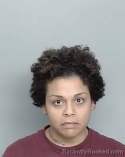 Mugshot of MELISSA ROLLINS TREJO