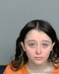 Mugshot of HAYDEN BRADY PEACOCK booked in Nye County, Nevada on March 14, 2026