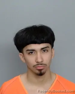 Mugshot of ROLANDO RUBEN SOLIZ booked in Nye County, Nevada on March 21, 2026