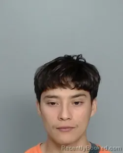 Mugshot of DENINSON RIVERA-RIOS booked in Nye County, Nevada on March 21, 2026