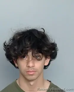 Mugshot of KENNETH ERICKSON booked in Nye County, Nevada on March 21, 2026