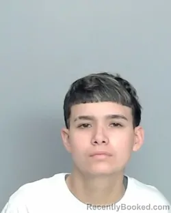 Mugshot of CLARITA ROSE ACOSTA booked in Nye County, Nevada on March 22, 2026