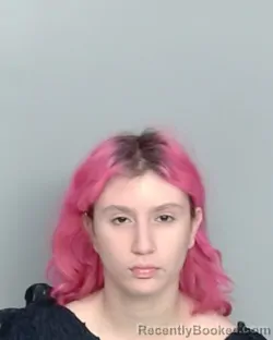 Mugshot of LAYAN ABU-BAKER booked in Nye County, Nevada on March 23, 2026