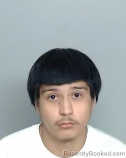 Mugshot of ANDRES AIDAN VASQUEZ