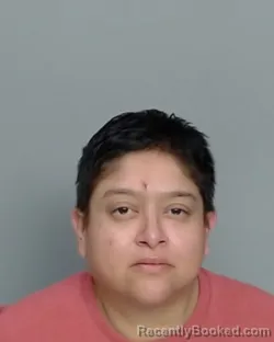 Booking photo from Nye County, Nevada