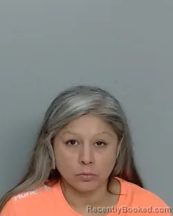 Mugshot of LIZETTE OLVERA booked in Nye County, Nevada on July 8, 2026