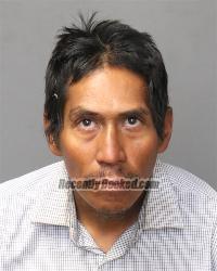 Booking photo from Bernalillo County, New Mexico