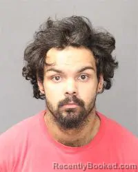 Booking photo from Bernalillo County, New Mexico