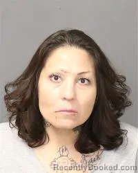 Booking photo from Bernalillo County, New Mexico