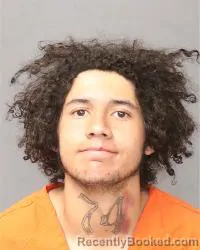 Booking photo from Bernalillo County, New Mexico
