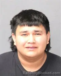 Booking photo from Bernalillo County, New Mexico