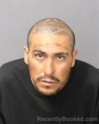 Booking photo from Bernalillo County, New Mexico
