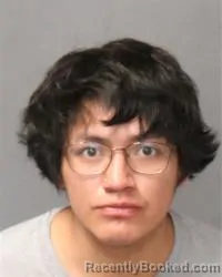Booking photo from Bernalillo County, New Mexico