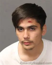 Booking photo from Bernalillo County, New Mexico