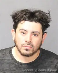 Mugshot of Luis Carlos Carrasco Vega