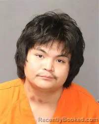 Mugshot of Tye Lynn Alexius