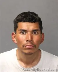 Mugshot of Nicholas Jade Meninick