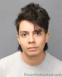 Mugshot of Orlando Fabian Varela