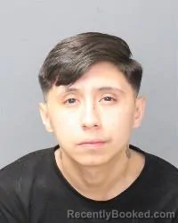 Booking photo from Bernalillo County, New Mexico