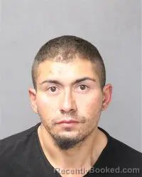 Mugshot of Kerry Herrera