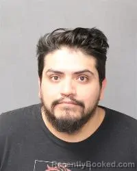 Mugshot of Irvying Luis Rodriguez