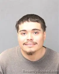 Mugshot of Alfredo Junior Cisneros