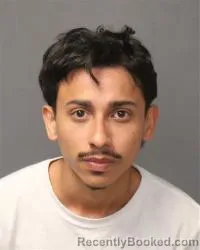 Mugshot of Jovanny Luna