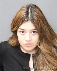 Mugshot of Michelle Martinez