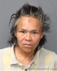 Mugshot of Tanita Carol Duncan