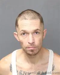 Mugshot of David Edward Wills