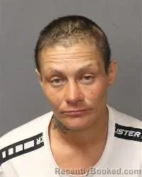 Mugshot of Crystal Giron