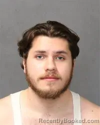 Mugshot of Will Amon Ellis