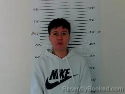 Mugshot of Jessica Lujan