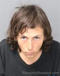 Mugshot of Leanne Michelle Henson