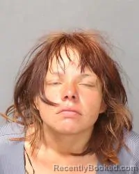 Mugshot of Sylvia Lynn Lee