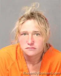 Mugshot of Amber Anderson