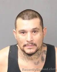 Mugshot of Robert Gonzales