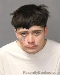 Mugshot of Avelino Giron